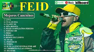 Feid Mix Exitos 2024  LAS MEJORES CANCIONES DE FEID [upl. by Mariken]