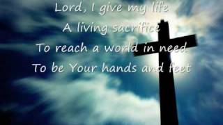 Life Song  Casting Crowns [upl. by Eisenberg750]