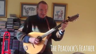 The Peacocks Feather  Abnett cittern [upl. by Aseel]