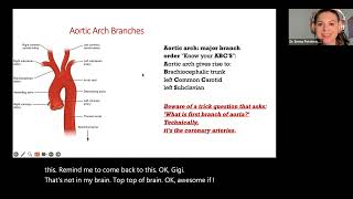 Cardiovascular Anatomy for NPLEX I Review [upl. by Rodavlas620]