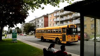 CANADIAN SCHOOL BUSES  DRIVING ACTION [upl. by Cressi]