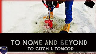 Nome Alaksa  Ice Fishing For Tomcod [upl. by Elehcar]