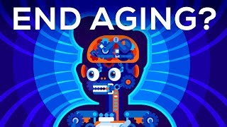 Why Age Should We End Aging Forever [upl. by Mraz780]