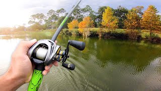 INSANE Day of Bass Fishing Lake Fishing [upl. by Imaj]