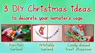 3 DIY Christmas ideas to decorate your hamsters cage [upl. by Ardnikal]