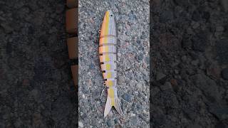 Truscend Jointed Swimbait [upl. by Letsirc341]