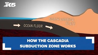 How the Cascadia Subduction Zone works [upl. by Ias416]