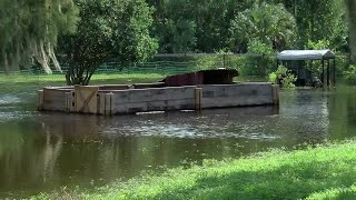 Golden Gate Estates farm still flooded with 2 feet of water from Tropical Storm Debby [upl. by Nnayar417]