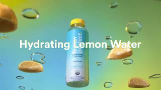 Drink More Lemons  Lemon Perfect [upl. by Haywood]