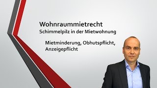 Schimmelpilz in der Mietwohnung  Vortrag für Anwälte 311  Mietminderung Obhuts amp Anzeigepflicht [upl. by Ashwell]