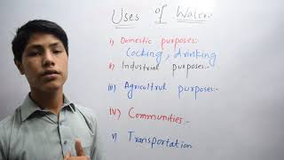 Uses of Water in Daily Life  Importance and Function of Water [upl. by Poppas392]