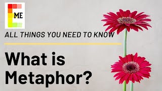 What is Metaphor All things you need to know [upl. by Nylesor480]