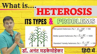 What is heterosis its types and Problem  Heterosis in Plant Breeding [upl. by Hiro]