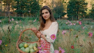 Days In My Cottage Kitchen Fermenting and Preserving [upl. by Rehpotsrik]