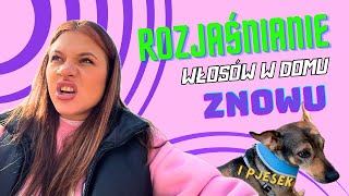 Znowu rozjaśniam włosy 💥  content pieskowy [upl. by Wat]