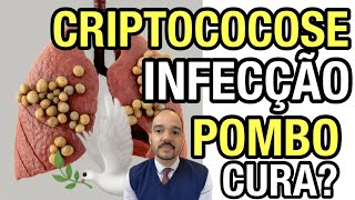 Criptococose causas sintomas tratamento e prevenção [upl. by Aerehs]