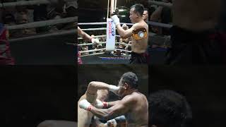 The hands that capture the moment lethwei myanmar combatsport mma martialarts boxing [upl. by Ecirtnahc]