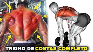 Melhores Exercícios Para Treinar Costas Completo com halteres [upl. by Haskins581]