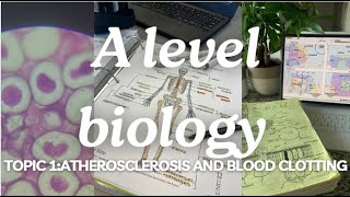 A level biology edexcel A SNAB Topic 1 Atherosclerosis and Blood Clotting [upl. by Theadora]