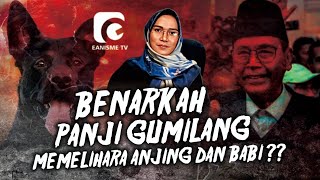 BENARKAH PANJI GUMILANG MEMELIHARA ANJING DAN BABI [upl. by Aindrea515]