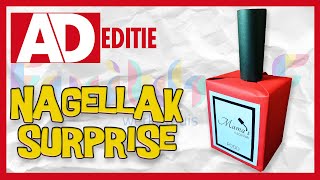 Zo maak je een mooie nagellak surprise  Algemeen Dagblad Sinterklaas Editie [upl. by Cassella]