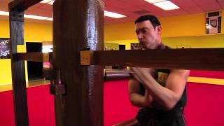 Traditional Wing Chun Kung Fu  Los Angeles [upl. by Weidman]