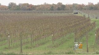 Call For Moratorium On Long Island Wineries [upl. by Barlow]