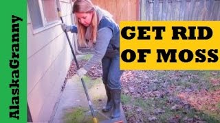 How To Get Rid Of Moss On Walkways Driveways Roofs Fences Gardens Sidewalks [upl. by Alcinia408]