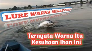 Detik2 Monster Sungai Penunggu Spot Ini Menyambar Umpan Castingku SA34 [upl. by Eisaj463]