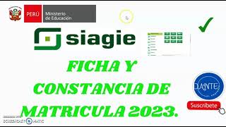 FICHA Y CONSTANCIA DE MATRICULA 2023 [upl. by Asinet]