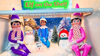 Elf on the Shelf North Pole Freezer Day 13 [upl. by Ninnahc]