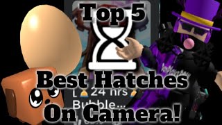 Top 5 Best Hatches on Camera Bubblegum Emperors [upl. by Rhianon620]