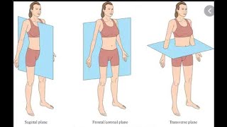 BIO MECHANICS PLANES amp AXES OF HUMAN BODY [upl. by Irrem]