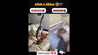 Allah Ho Akhbar islamicshort 11Mviews2025 video [upl. by Radu]