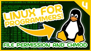 Linux For Programmers 4  File Permissions and chmod [upl. by Fenwick350]