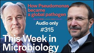 TWiM 315 How Pseudomonas became a global pathogen [upl. by Yrennalf]