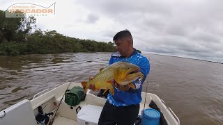 UNA JORNADA DE PESCA BAJO LA LLUVIA  1009 [upl. by Banna462]