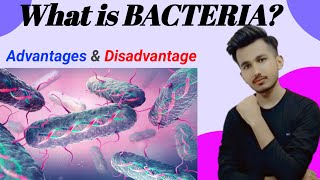 What is Bacteria AdvantagesDisadvantages [upl. by Sotsirhc416]