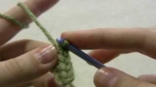 How to Crochet Half Double Crochet HDC [upl. by Marfe706]