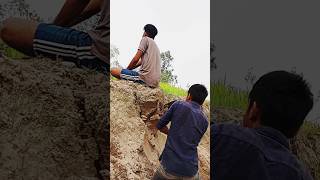 See what happens when cutting the soil from the back shortvideos funny remix trending foryou [upl. by Annaed]