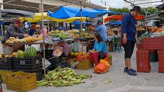 Feira livre na cidade de carnaubal Ceará dia 181024 [upl. by Anerul]