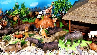 Fun Dioramas  Carnivorous Herbivorous and Omnivorous Animals  Learn Animal Names [upl. by Asoral]