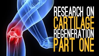 Cartilage Regeneration with Dr Zeng Part 1 [upl. by Hayyifas]