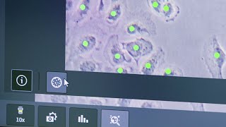 How to Automatically Count Cells in Fluorescence Contrast with ZEISS Labscope AI [upl. by Larissa214]