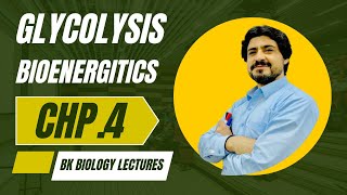 GLYCOLYSIS  MDCAT BIOLOGY Bioenergetics glycolysis bioenergetics [upl. by Regine]