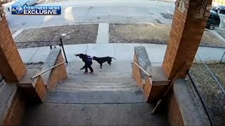 Teen with broom saves children from dog attack in Englewood [upl. by Ymaj365]