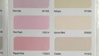 Berger paint colors chartwall paint colorspaint chartwall painting ideas [upl. by Rexer255]