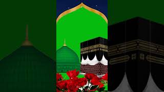 Maulana peer ajmal Raza Islamic shortvideo v [upl. by Girardo]