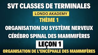 COURS SVT TS2 LONDO AKADEMY  THÈME 1  LEÇON 1  ORGANISATION DE L’ENCÉPHALE DES MAMMIFÈRES [upl. by Earehs]