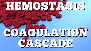 Secondary Hemostasis Coagulation Cascade Animation Made Easy [upl. by Halik614]